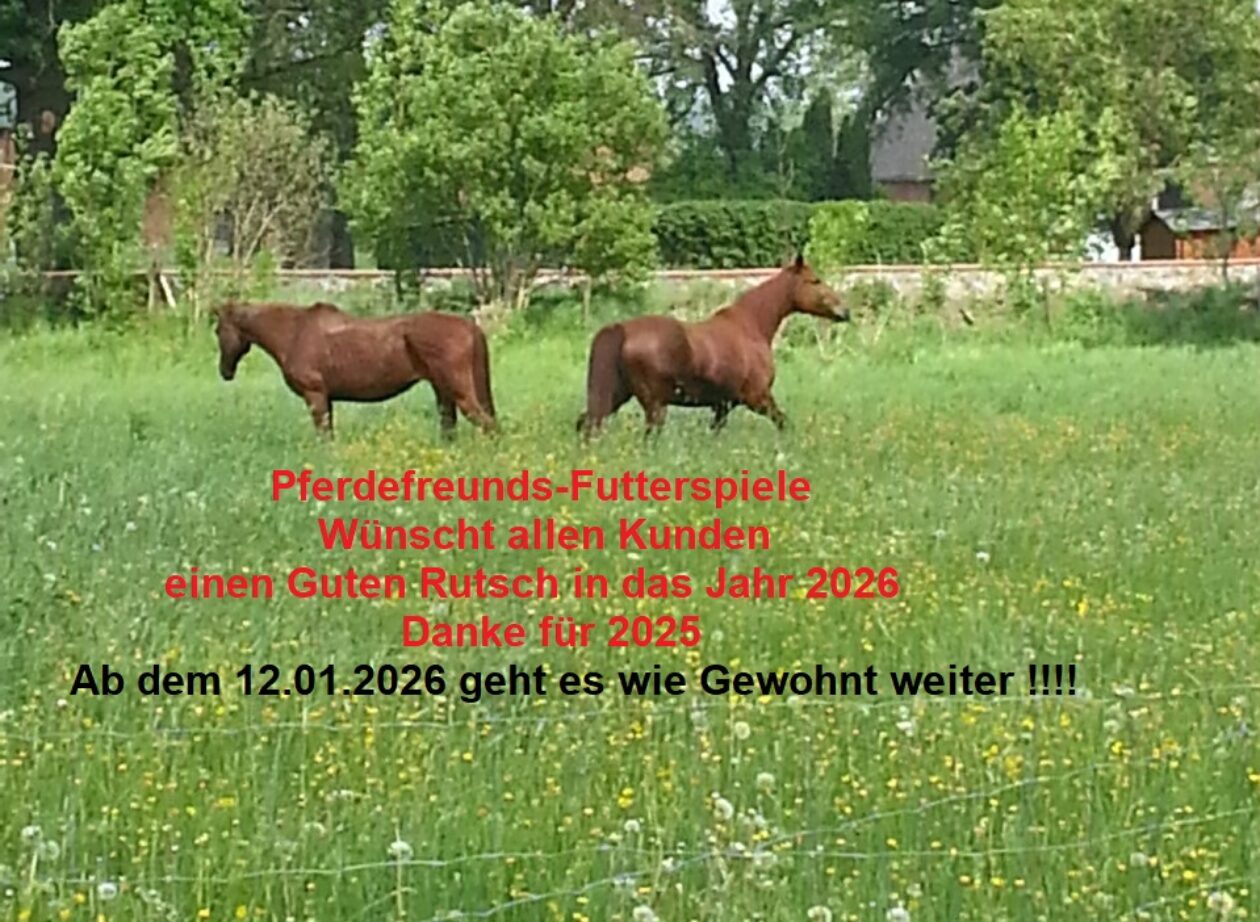 Pferdefreunds-Futterspiele