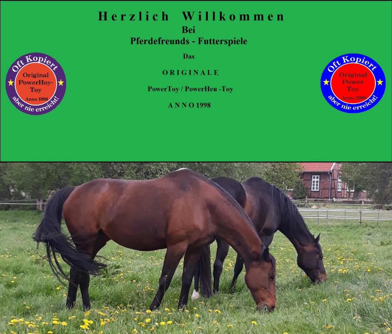 Pferdefreunds-Futterspiele